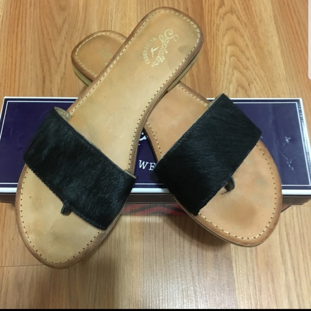 Seychelles Slides